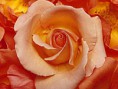 /album/fotogaleria/v8-jpg/