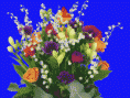 /album/fotogaleria/via1-gif/