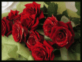 /album/fotogaleria/vir3-gif/
